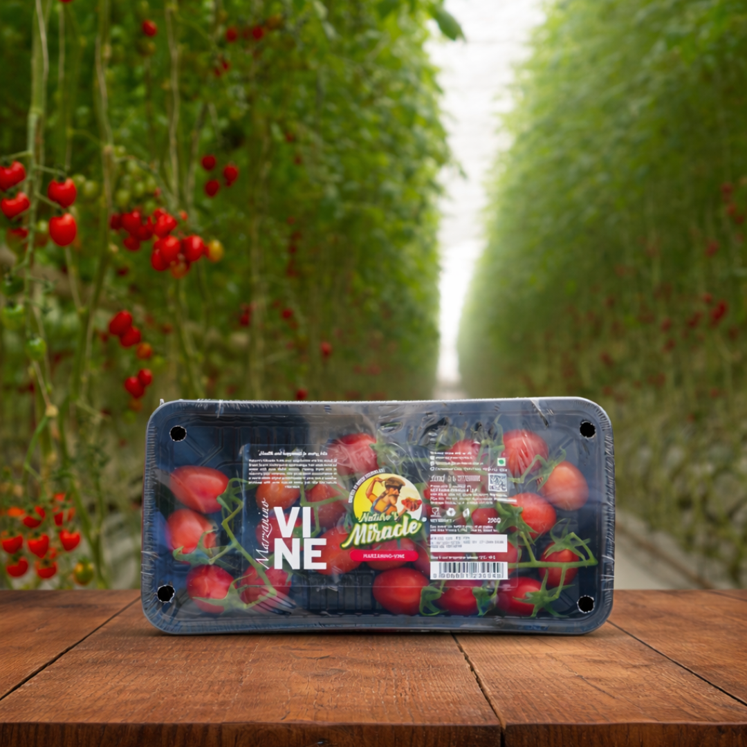 Marzanino Vine Tomatoes | Gourmet Tomatoes – Natures Miracle