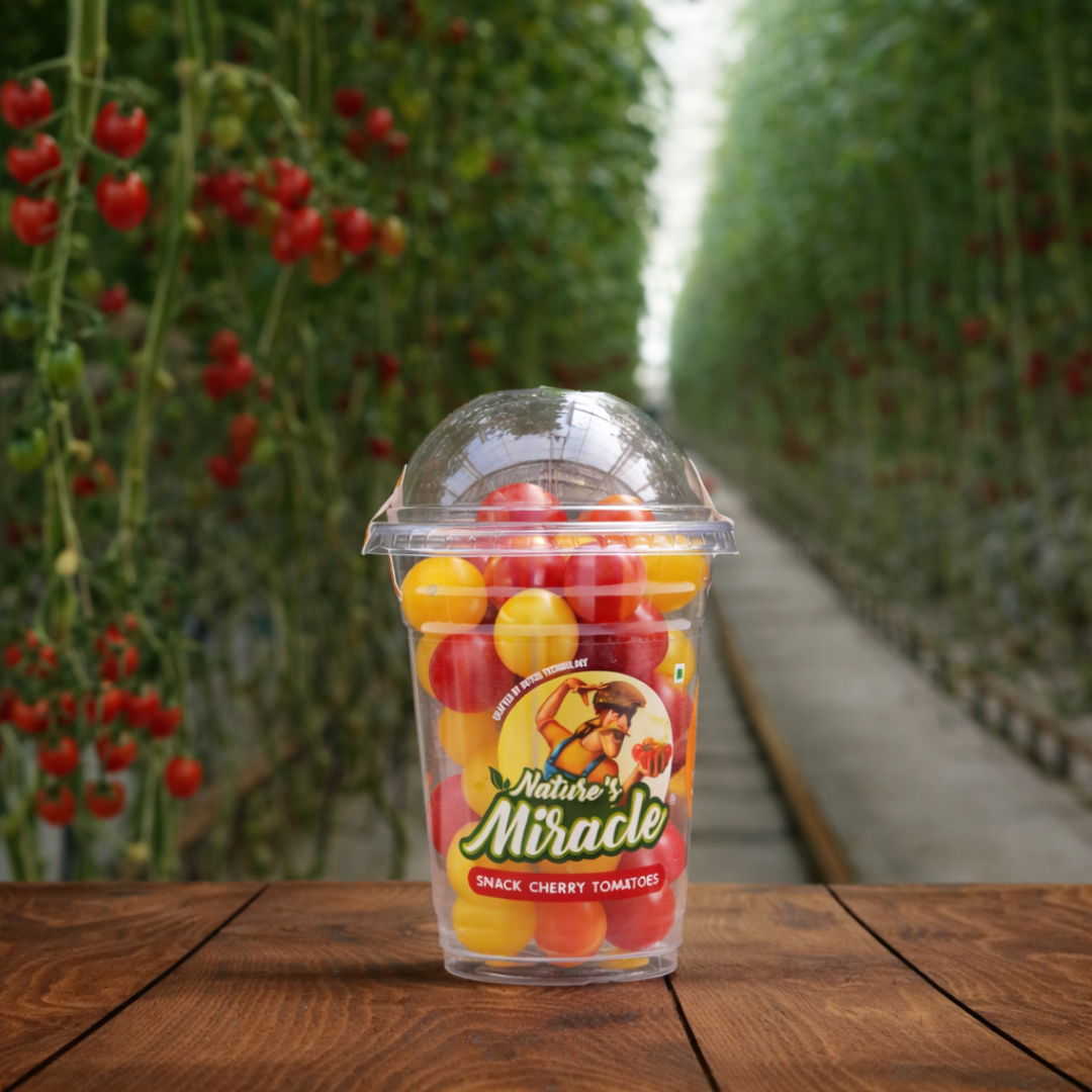 Buy Snack Cherry Tomatoes Delhi NCR | Fresh & Sweet Tomatoes