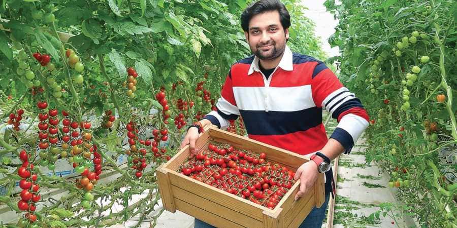 Futuristic farming, a predicted alternative