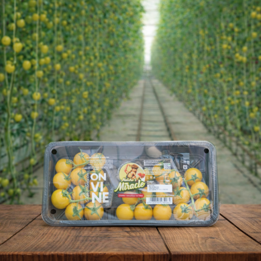 Yellow Cherry Tomatoes on Vine - 250 gm