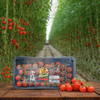Cherry Vine Tomatoes - 250gm