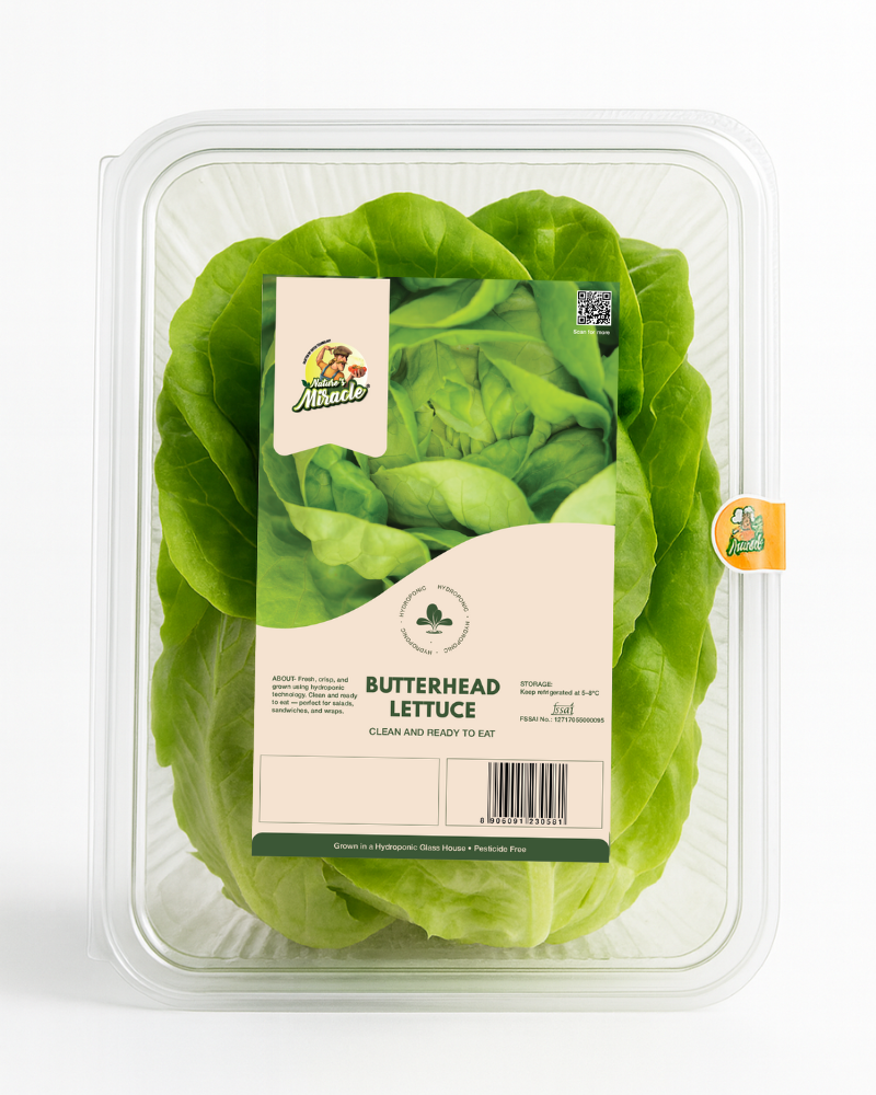 Hydroponic Butterhead Lettuce