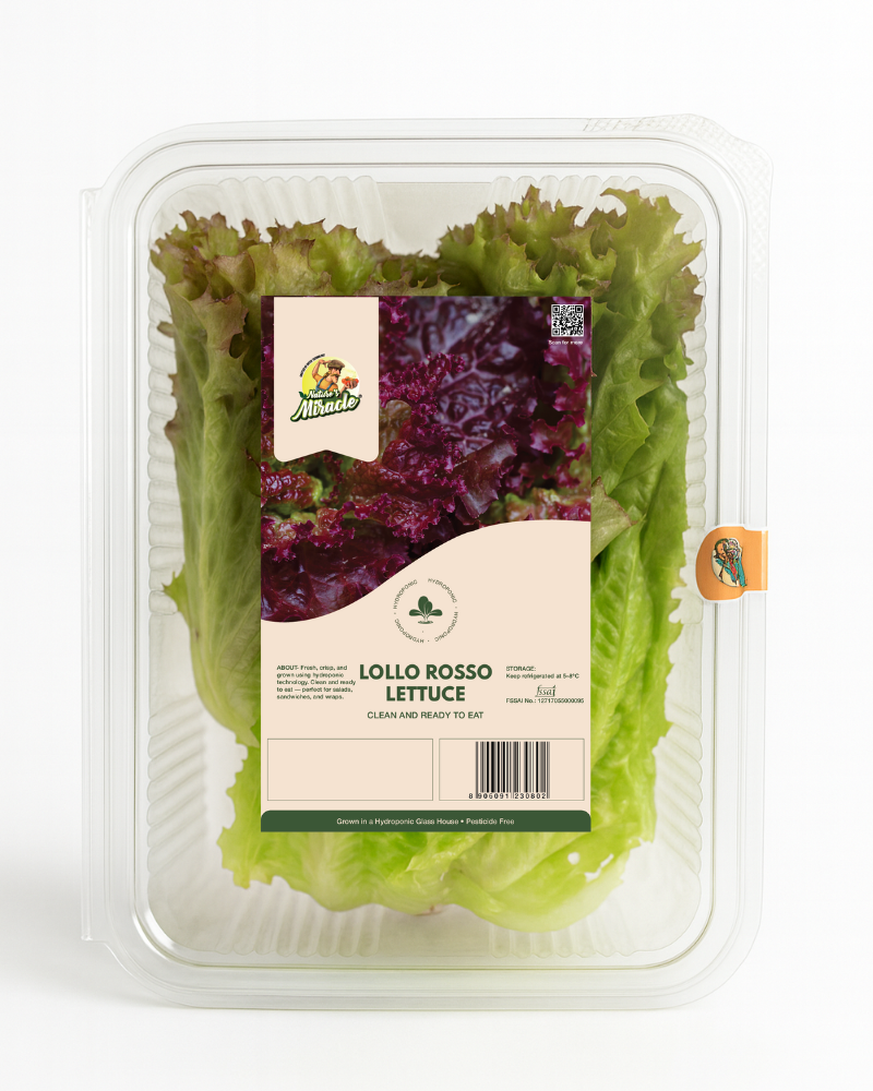 Hydroponic Lollo Rosso Lettuce