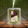 lollo rosso red lettuce fresh delhi ncr