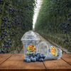 Blueberries Glass - 200gm
