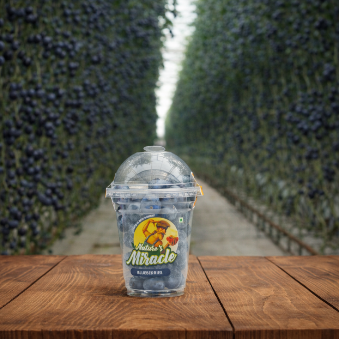 Blueberries Glass - 200gm