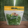 baby spinach fresh hydroponic leaves 