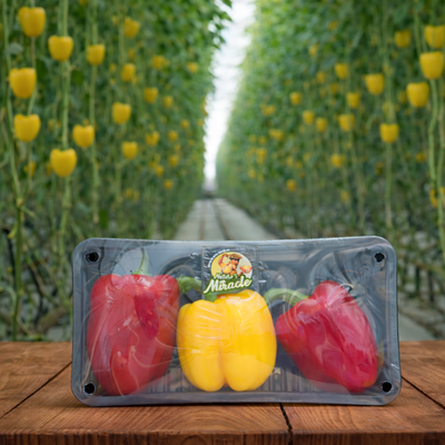 Bell Peppers
