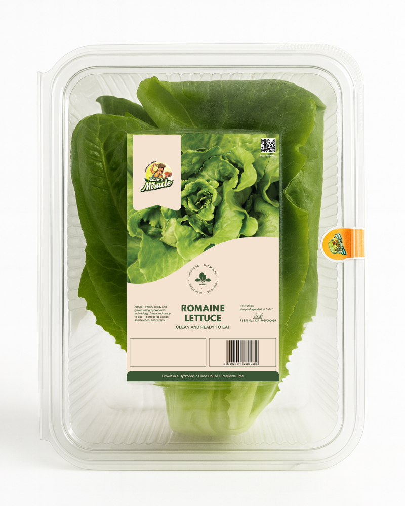 Hydroponic Romaine Lettuce