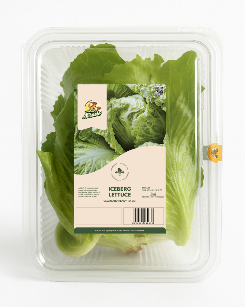 Hydroponic Iceberg Lettuce