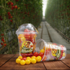 Snack Cherry Tomatoes - 250gm