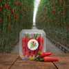 Fresh Chillies - 100gm