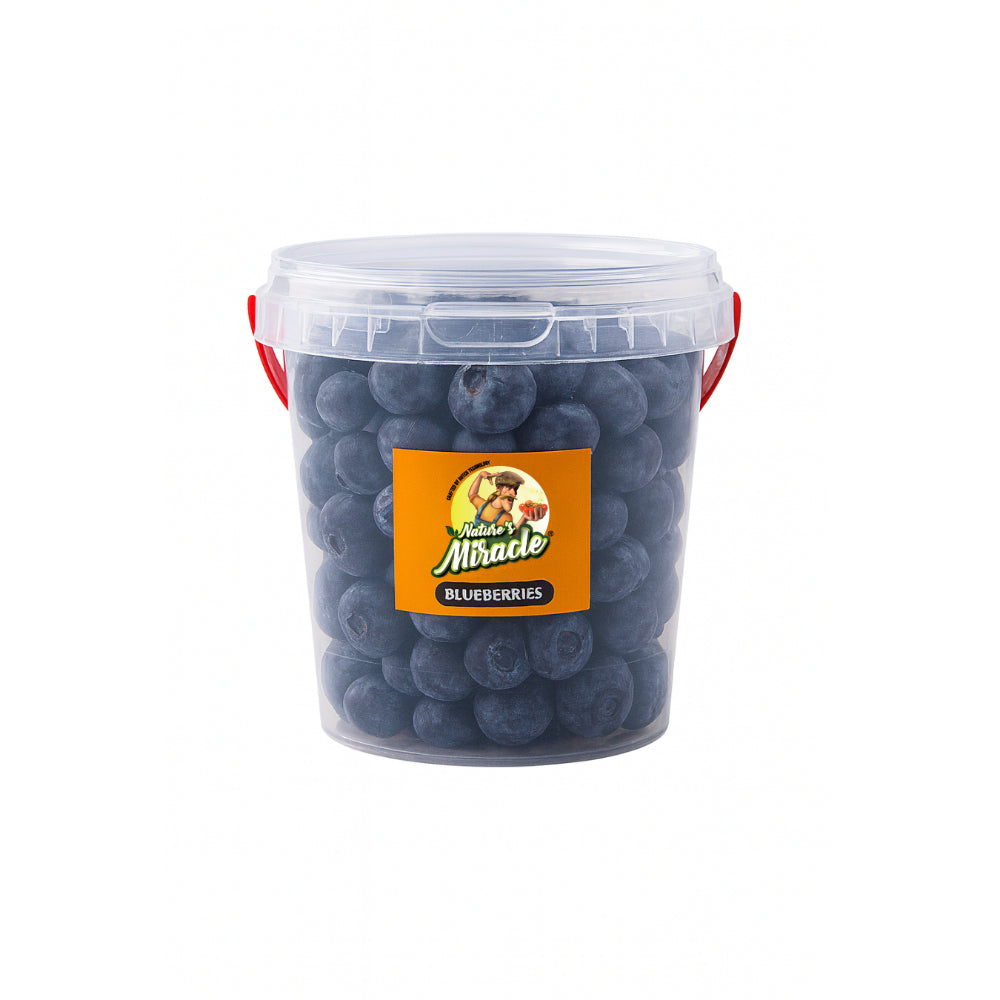 Blueberries (Bucket Pack) - 500 gm