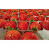 Strawberry Bites – Fresh Premium Strawberries in Wooden Tray Pack