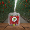 fresh red chillies for indian cooking delhi