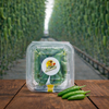 fresh green jalapeno peppers delhi ncr