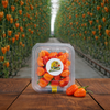 fresh habanero peppers extra hot 