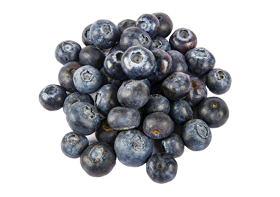 Hydroponics Blueberries